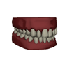 Chattering Teeth- Cult3D